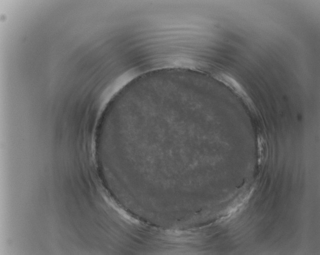 X0000062830780200601271950