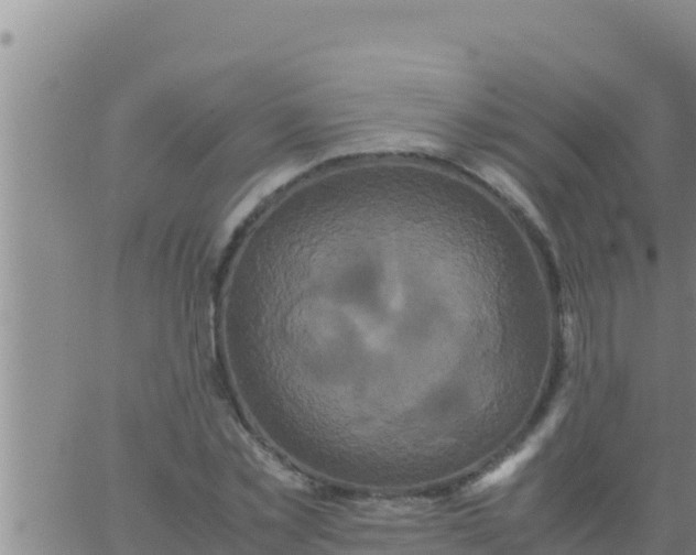 X0000062830781200601271950