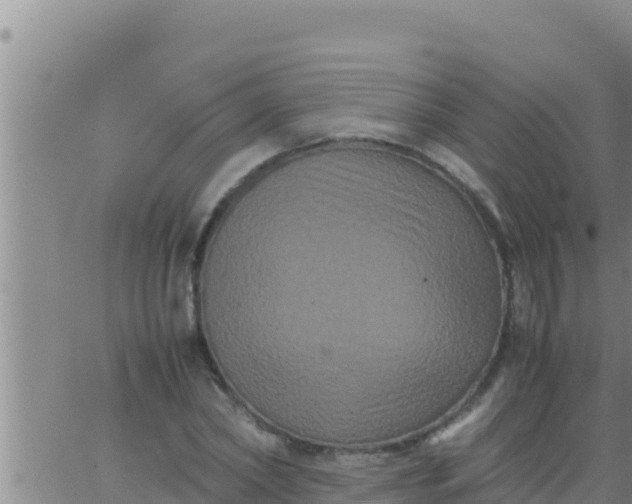 X0000062830782200601271950