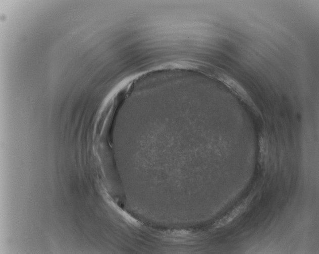 X0000062830784200601271950