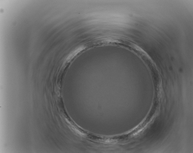 X0000062830785200601271950