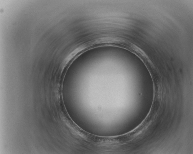 X0000062830786200601271950