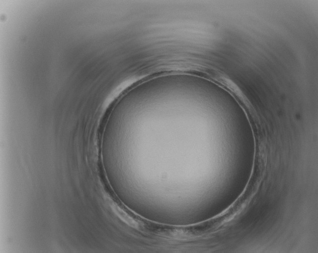 X0000062830787200601271950