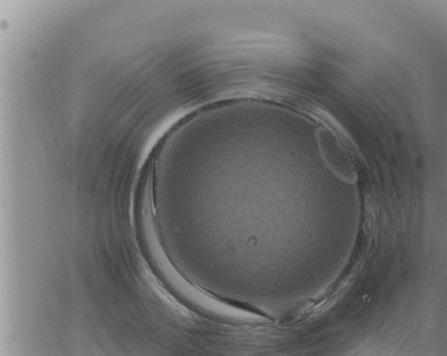 X0000062830788200601271950