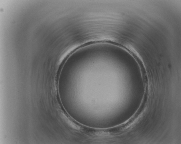 X0000062830789200601271950