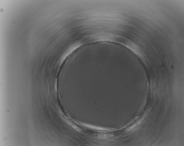 X0000062830790200601271950