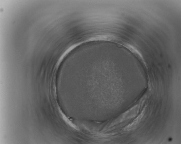 X0000062830792200601271950