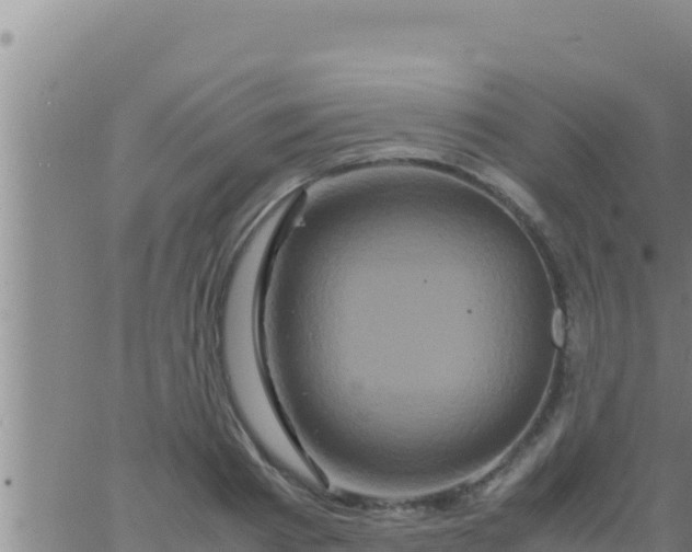 X0000062830793200601271950