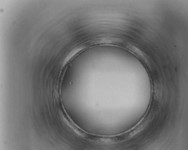 X0000062830794200601271950