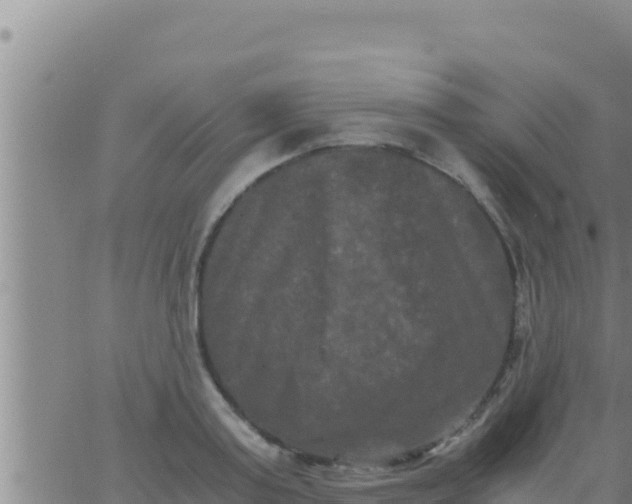 X0000062830795200601271950