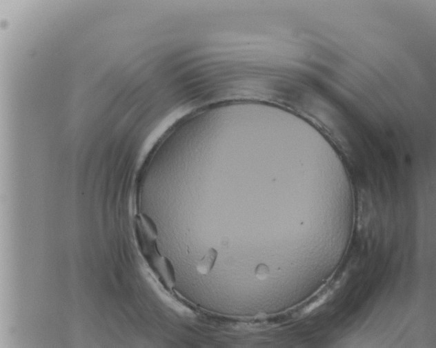 X0000062830796200601271950