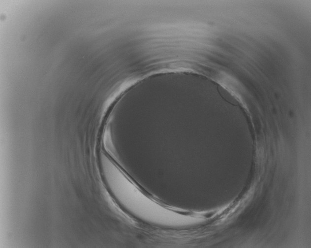 X0000062830797200601271950