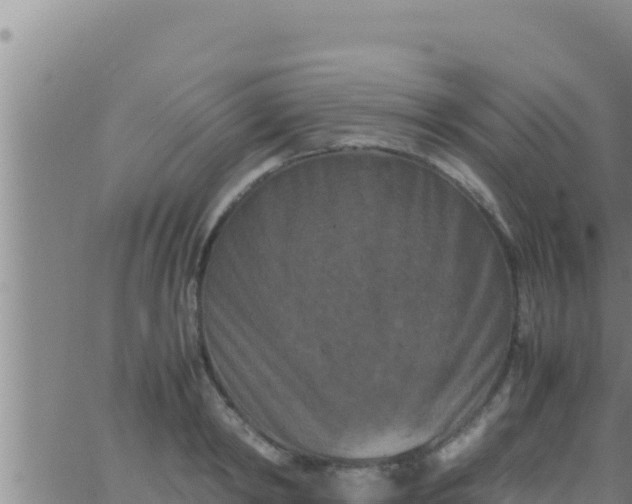 X0000062830798200601271950