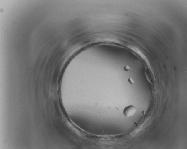 X0000062830799200601271950