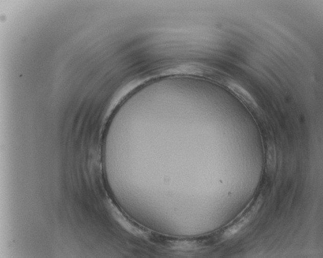 X0000062830800200601271950