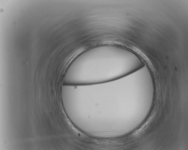 X0000062830801200601271950