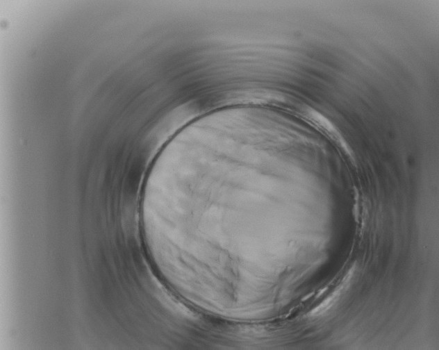 X0000062830802200601271950