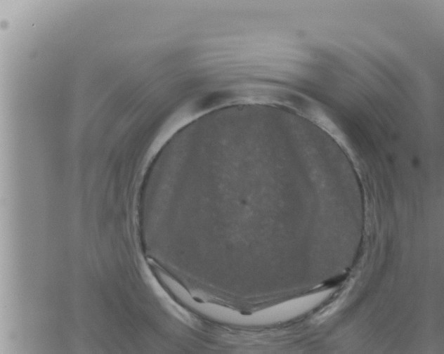 X0000062830803200601271950