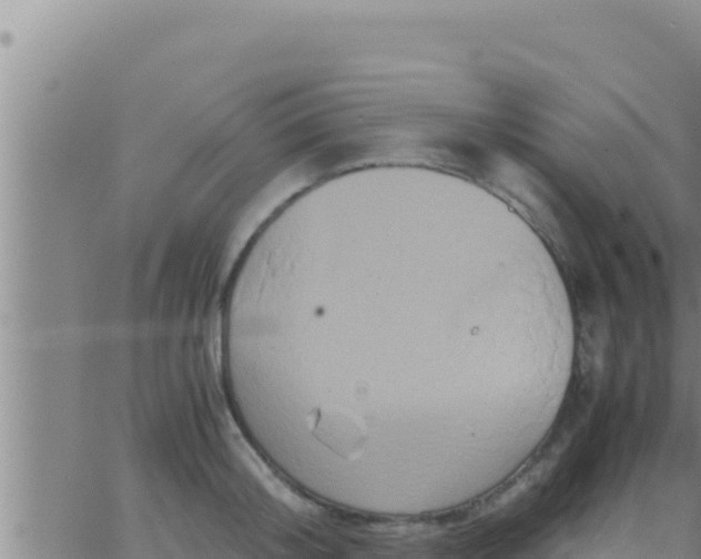 X0000062830804200601271950