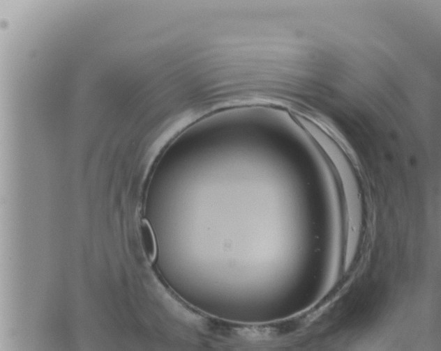 X0000062830805200601271950