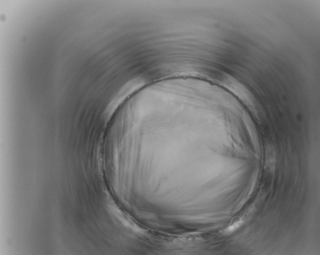 X0000062830806200601271949