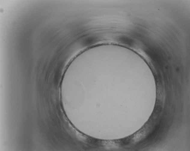 X0000062830807200601271949