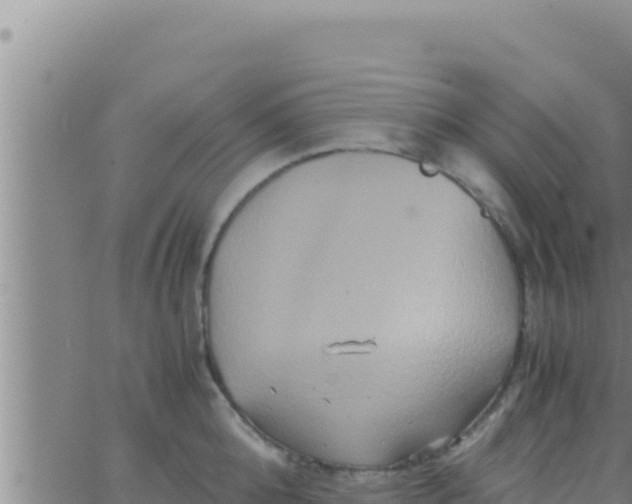 X0000062830808200601271949