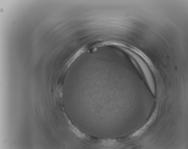 X0000062830809200601271949