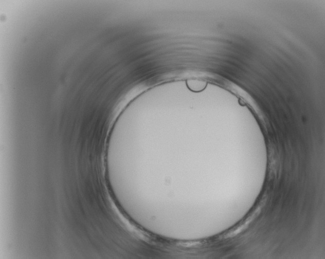 X0000062830810200601271949