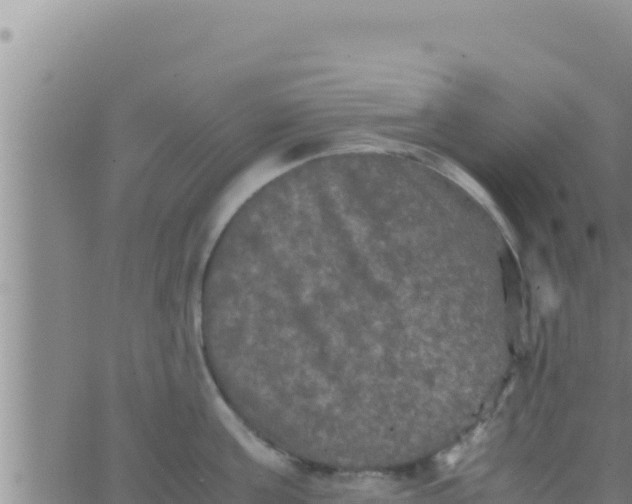 X0000062830811200601271949