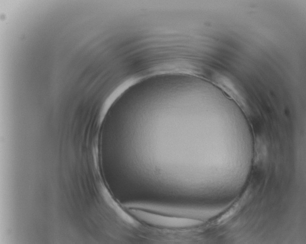 X0000062830812200601271949