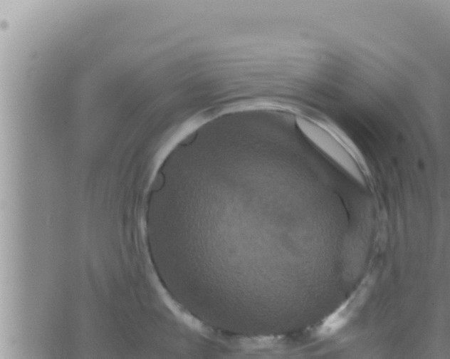 X0000062830813200601271949