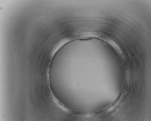 X0000062830814200601271949