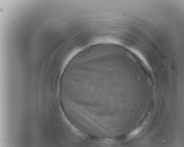 X0000062830815200601271949