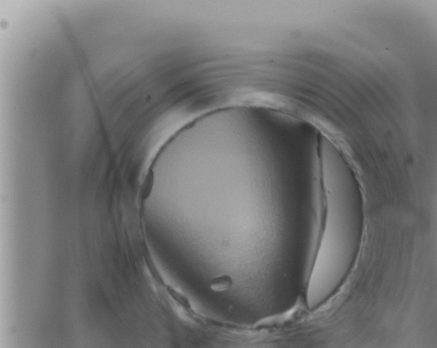 X0000062830816200601271949