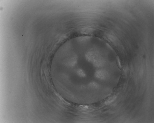 X0000062830817200601271949