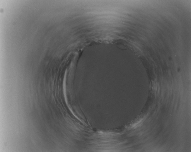 X0000062830818200601271949