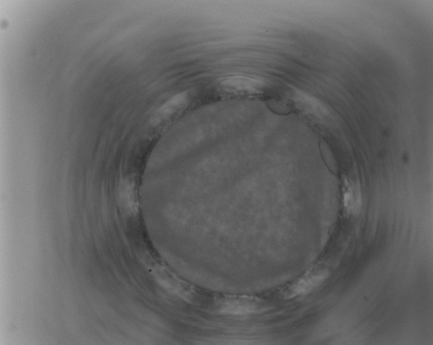 X0000062830819200601271949