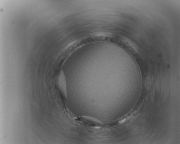 X0000062830821200601271949