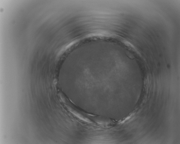 X0000062830822200601271949