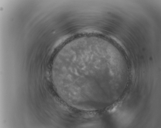 X0000062830823200601271949