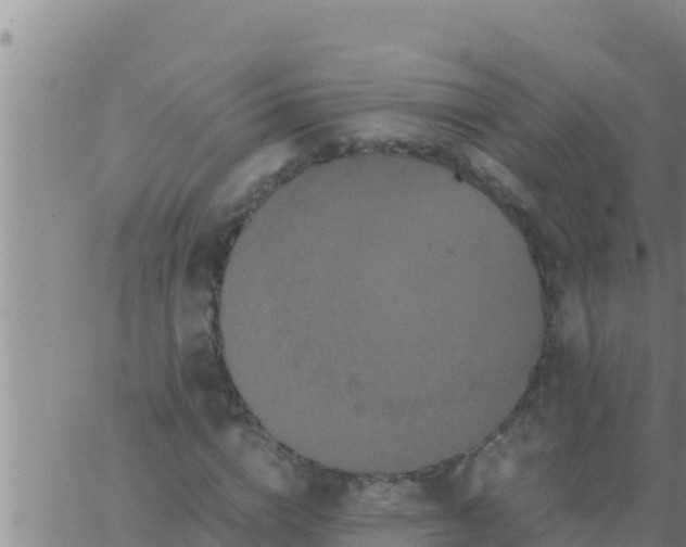 X0000062830824200601271949