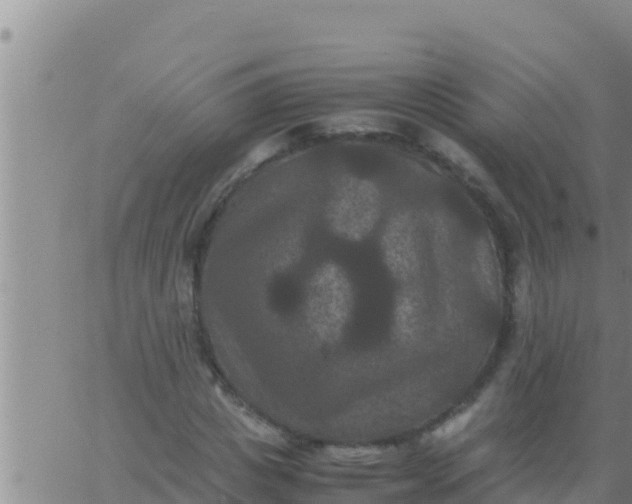 X0000062830825200601271949