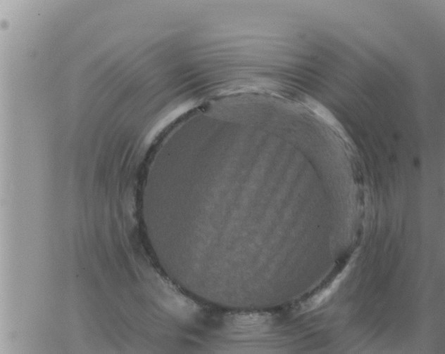 X0000062830826200601271949