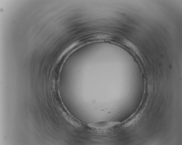 X0000062830827200601271949