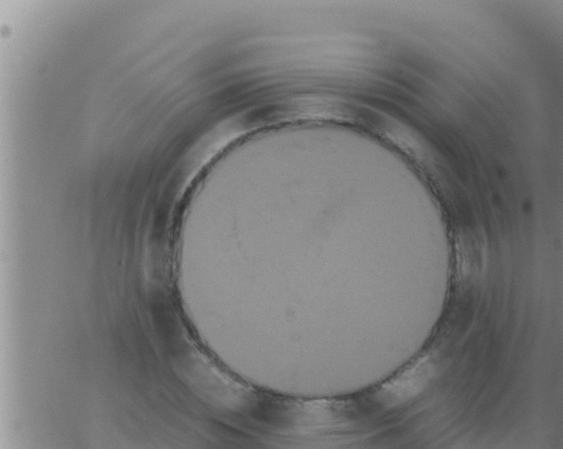 X0000062830828200601271949