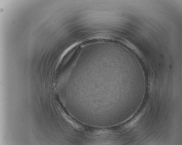 X0000062830830200601271949