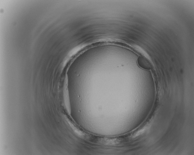 X0000062830831200601271949