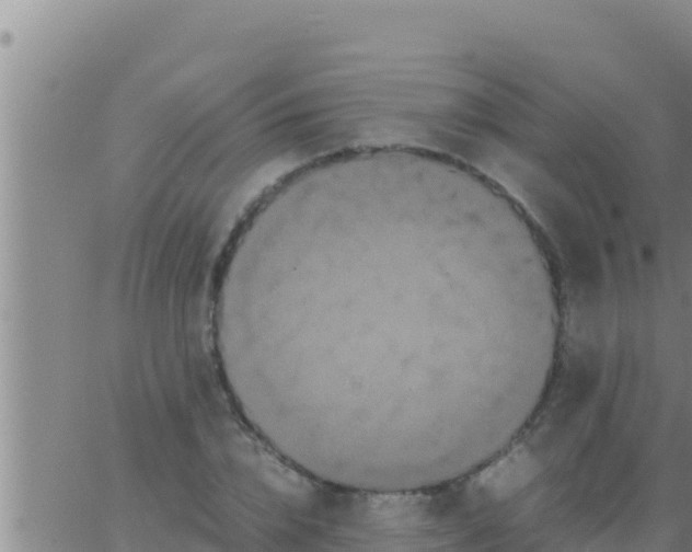 X0000062830832200601271949