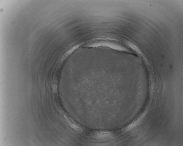 X0000062830833200601271949